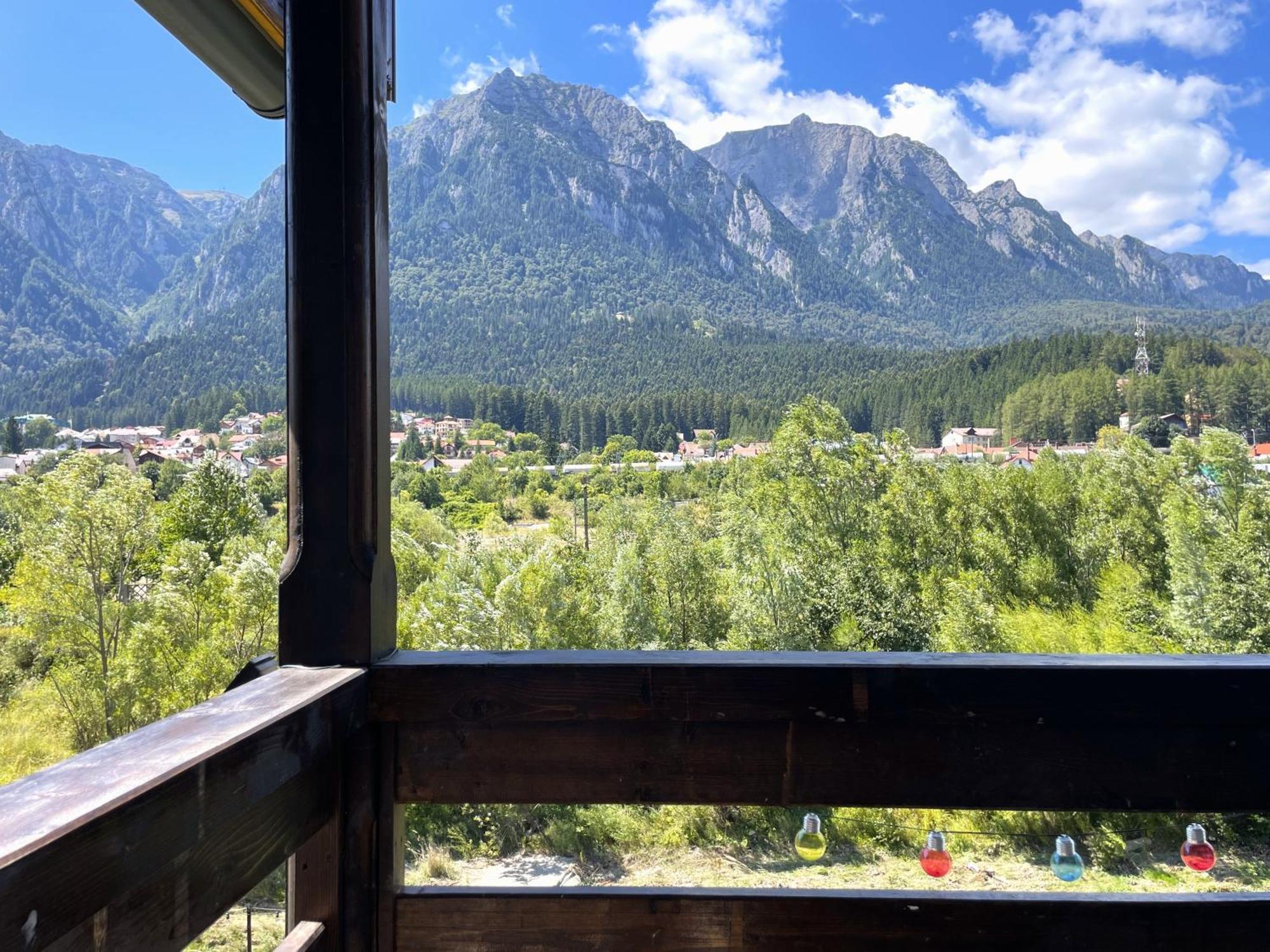 Alpine River With Peace And Mountain View Buşteni